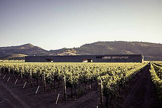 Das Weingut mit den Bergen im Hintergrund