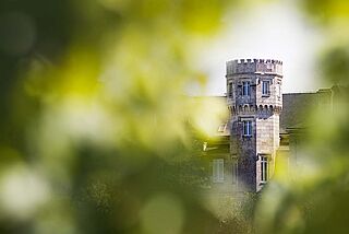 Chateau La Gurgue som vingård