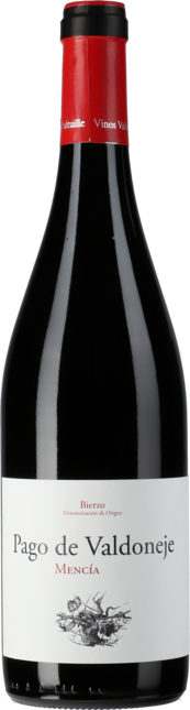 Weinpaket: Introduction Rotwein (6 Flaschen)