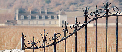 Burgund – Underdogs versus alte Ordnung