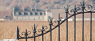 Tor zu einem Weingut im Burgund