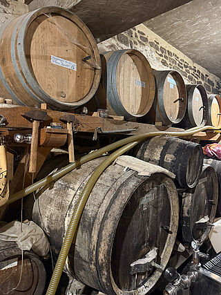 Weinfässer im Weinkeller bei Lucien Aviet