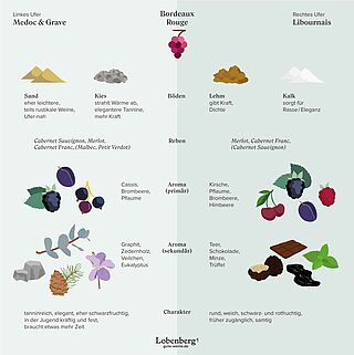 Bordeaux Geschmacksnoten