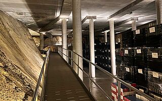 Can Rafols dels Caus Weinlager