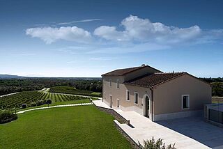 Blick auf das Weingut