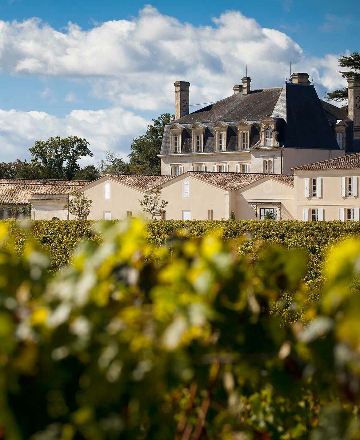Bordeaux unter 35 €