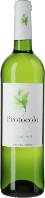 Protocolo Organic weiß 2016