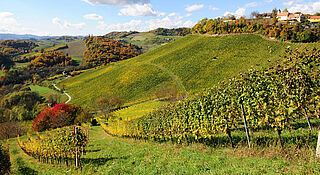 Zieregg – Tement Zieregg – Tement