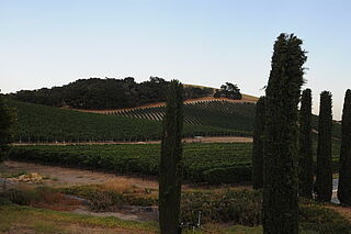 L’Aventure Weinberg