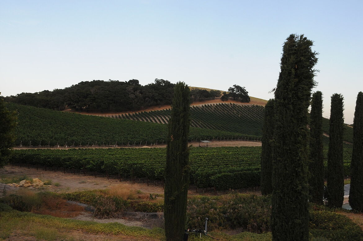 L’Aventure Weinberg