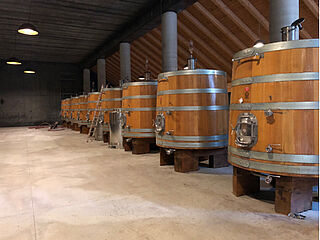 Piemont Weinfässer