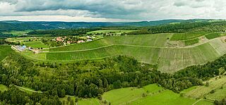 Vinmarker på Serrig-domænet