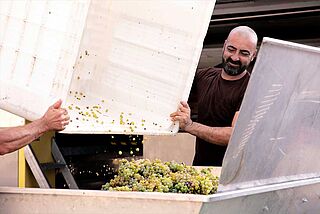 Quinta de Soalheiro Quinta de Soalheiro