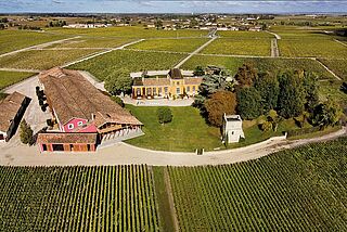 Lafon Rochet vingård