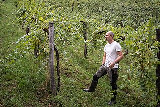 Weinberg Weingut Werlitsch Ewald Tscheppe
