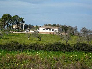 Weinfeld, Weingut 4kilos