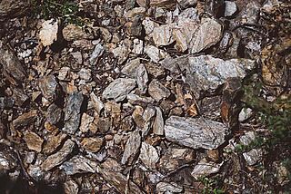 Bodenbeschaffenheit und Steine des Weinguts Christian Tschida