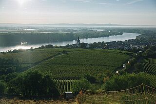 Die Landschaft rund um das Weingut Schätzel