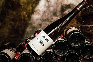 Sankt Antony Sankt Antony