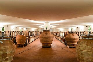 Vinkælder med vintønder Fontodi