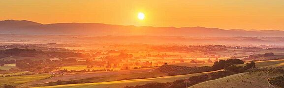 Sonnenuntergang über italienische Weinfelder