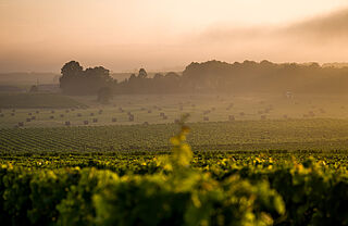 Bordeaux Region