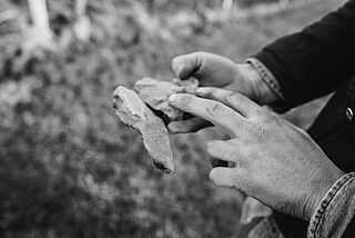 Winzer zeigt Gestein, Bodenbeschaffenheit bei Hofgut Falkenstein