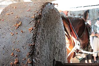 Æblepresse fra D'Hotte