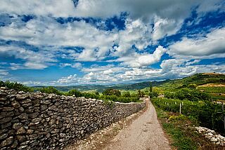 Casa Vinicola Bennati Casa Vinicola Bennati