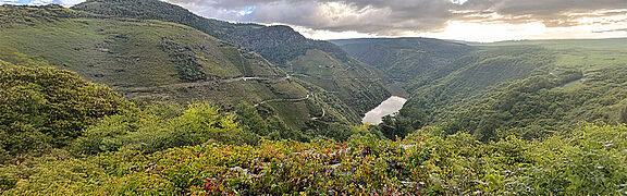Die Landschaft von Ribeira Sacra