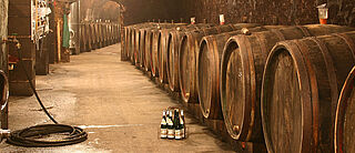 Weinkeller Maxim Grünhaus