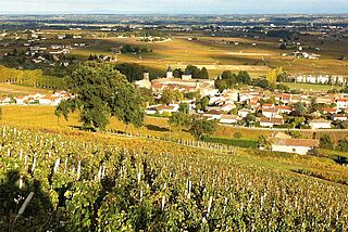 Domaine Terres Dorees