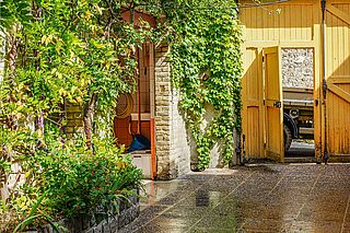 Weingut von Georges Laval