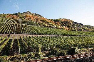 Nahe vinregion Vinregionen Nahe, vinmark under en blå himmel