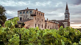 Weingut Gianni Masciarelli Weingut Gianni Masciarelli