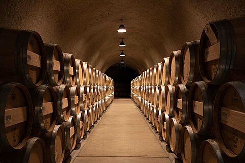 USA  Californien  Stags Leap Wine Cellars