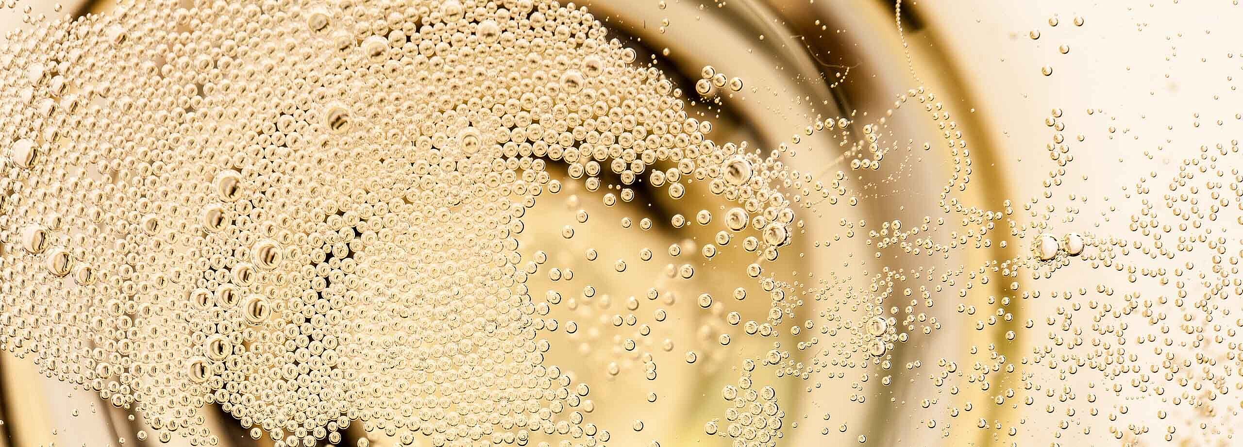 Schaumwein Lobenbergs