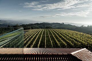 Terrassenaussicht auf Weinberg