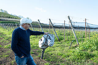 Winzer im Weinberg von Inama