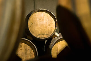 Der Weinkeller von Venus La Universal