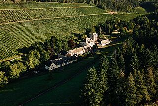 Weingut Karthäuserhof