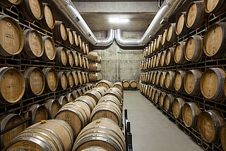 Das Fass-Lager im Weinkeller