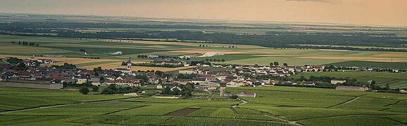 Wein aus Bouzy
