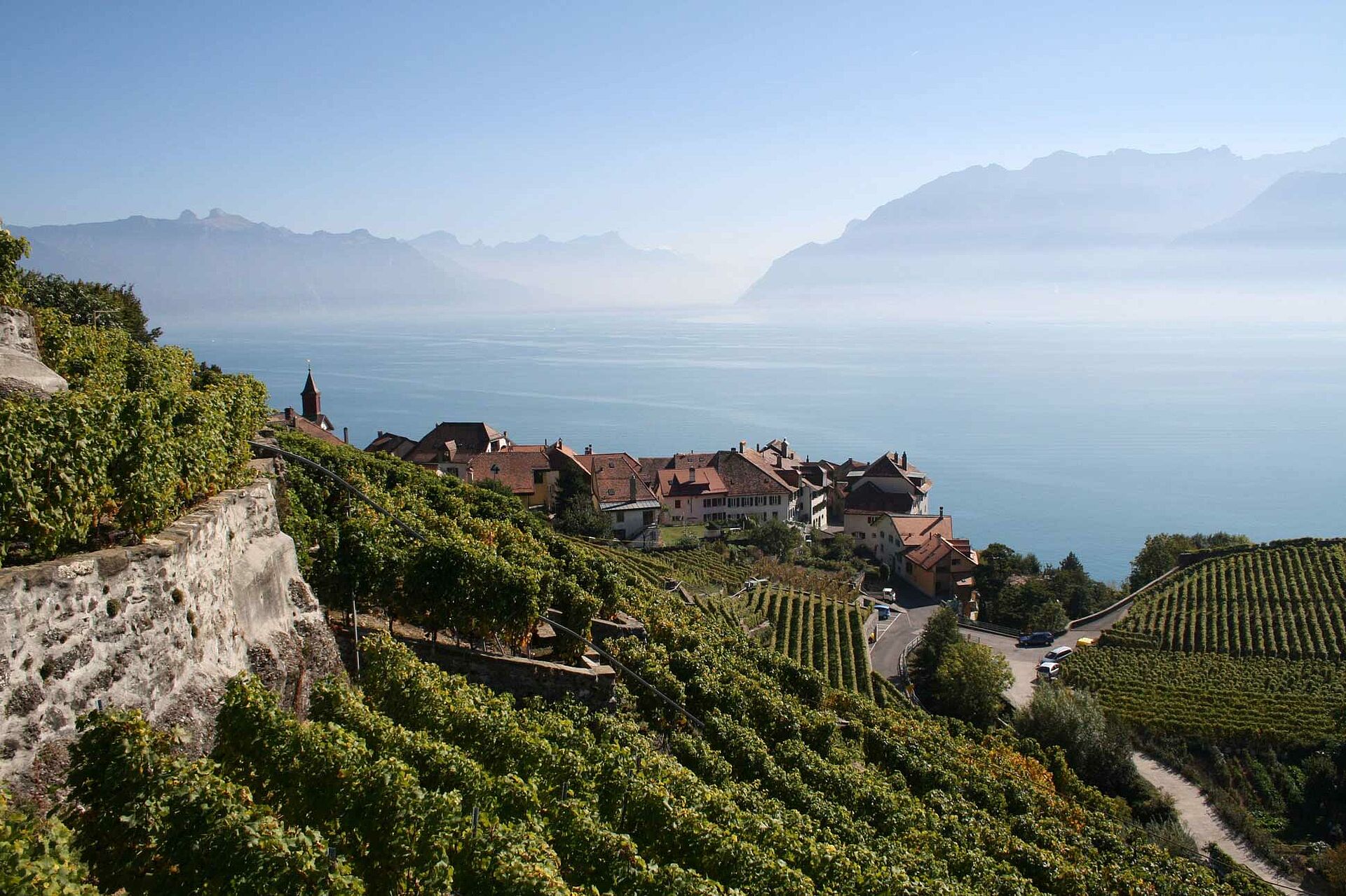 Weinland Schweiz, Weinberge 