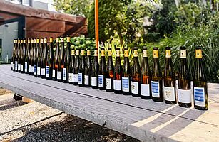 10 Jahrgänge: Kastanienbusch, Idig, Morstein