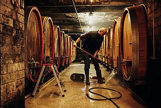 Cornelius Dönnhoff Cornelius Dönnhoff