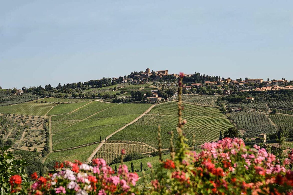 Fontodi