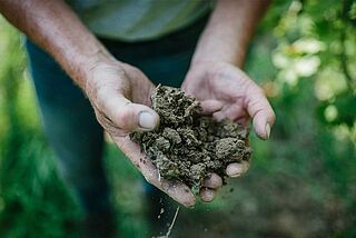 Unterwegs in den Weinbergen von Hanspeter Ziereisen Unterwegs in den Weinbergen von Hanspeter Ziereisen