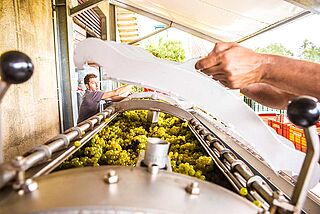 Erntearbeit bei I Clivil