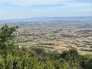 Unterwegs in den Weinfeldern